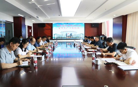 甘肅藥業(yè)集團(tuán)黨委副書記、總經(jīng)理竇生銘一行蒞臨隴神戎發(fā)進(jìn)行安全生產(chǎn)專項(xiàng)檢查