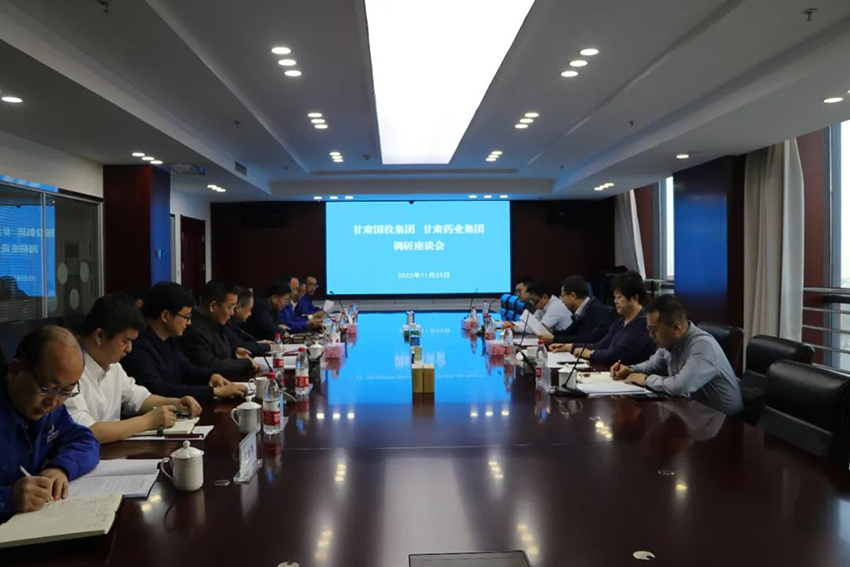 甘肅國(guó)投集團(tuán)一行深入隴神戎發(fā)調(diào)研指導(dǎo)工作