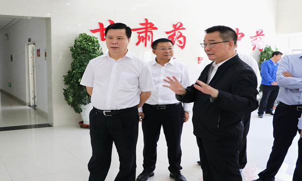 國家發(fā)改委財(cái)金司司長陳洪宛一行蒞臨隴神戎發(fā)考察調(diào)研