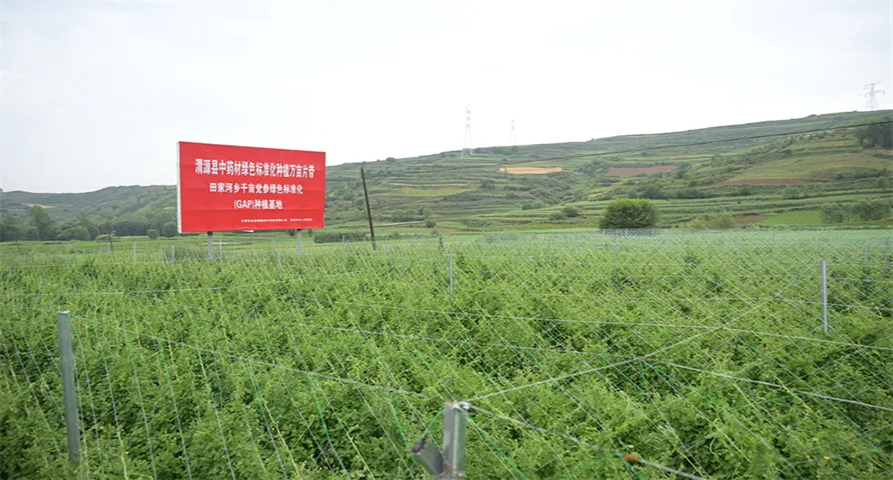 “十四五”答卷 | 甘肅藥業(yè)集團(tuán)——聚力引領(lǐng)帶動(dòng) 錨定全鏈升級(jí)